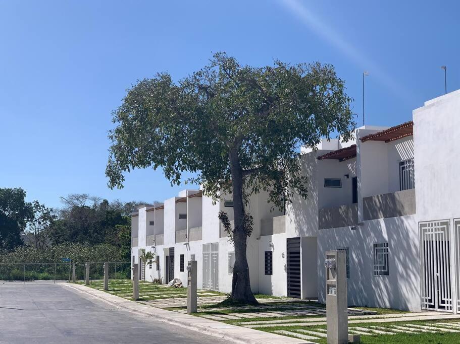 La Casa Del Arbol -4Bed 3 Bath Villa Puerto Morelos Exterior foto